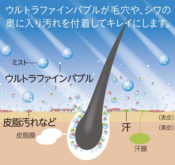 image illust
