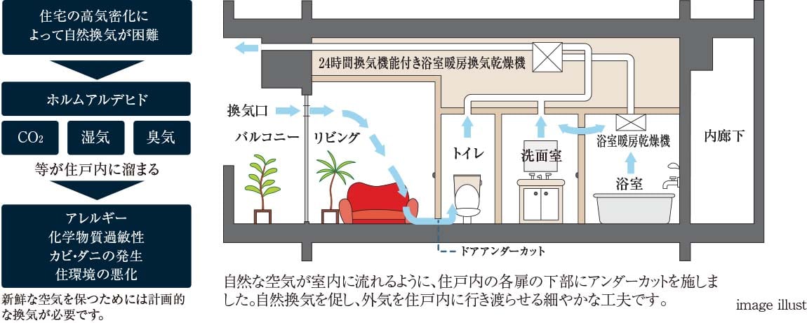 image illust
