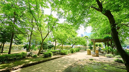 谷津の森公園