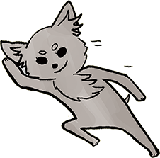 チワワ