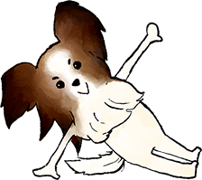 パピヨン