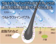 image photo