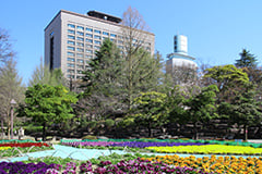 勾当台公園の写真