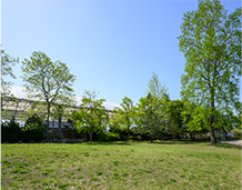 高玉南公園の写真