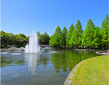 やまいちサステナパーク七北田公園の写真