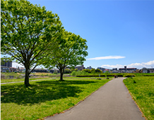 七北田川友愛緑地の写真
