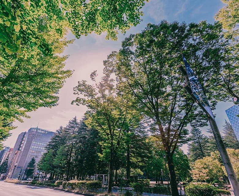 現地周辺の街並み