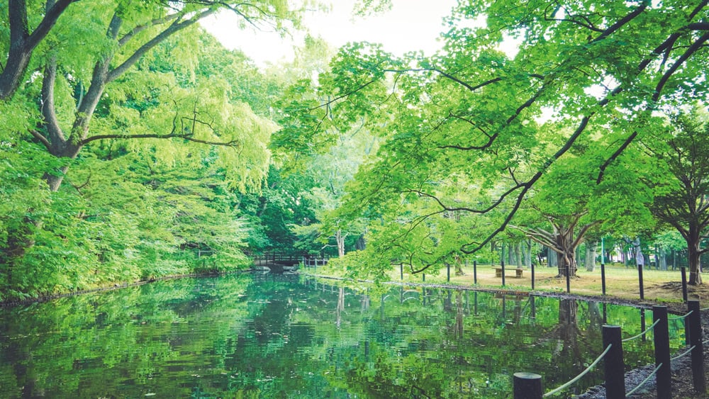 円山公園