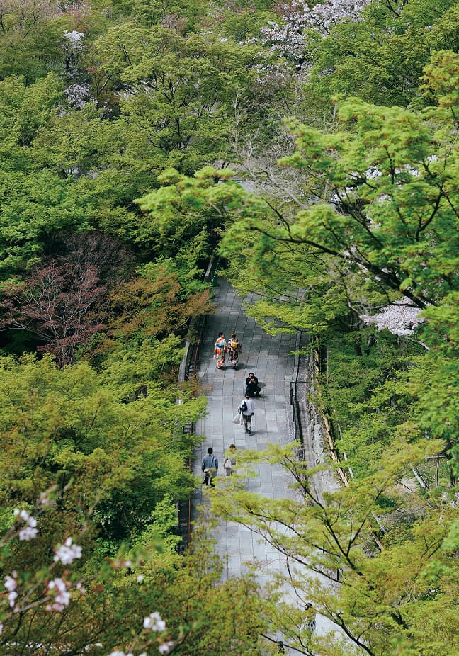 並木道