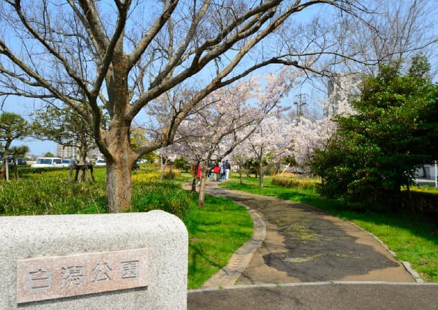 白潟公園（徒歩10分／約790m）