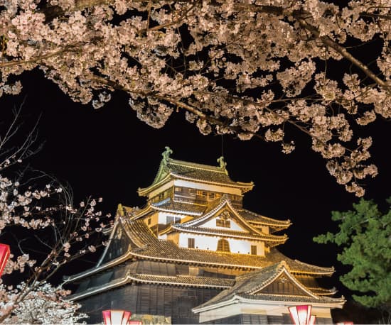 国宝松江城 お城まつり