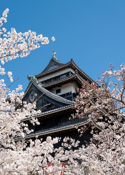 松江城山公園／松江城