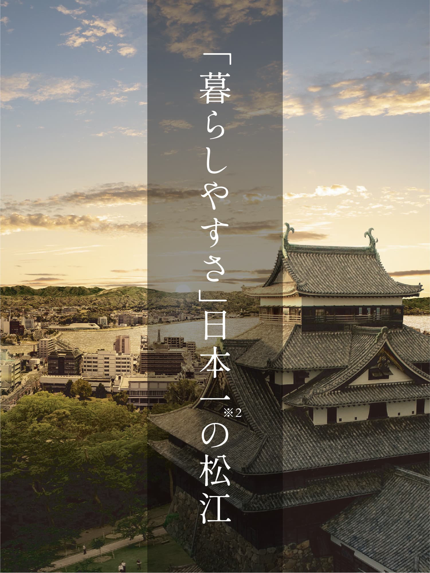 現地周辺航空写真