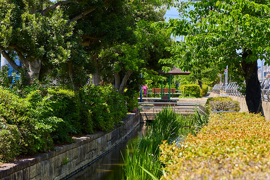 見沼代親水公園