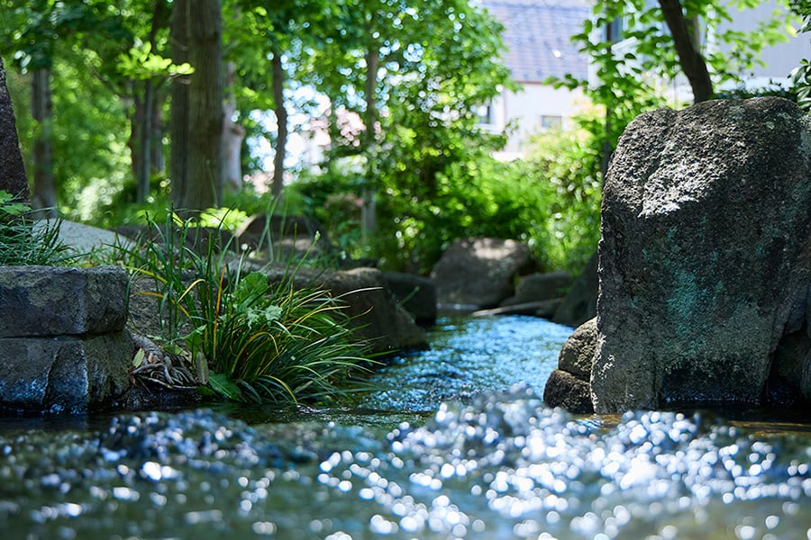 見沼代親水公園