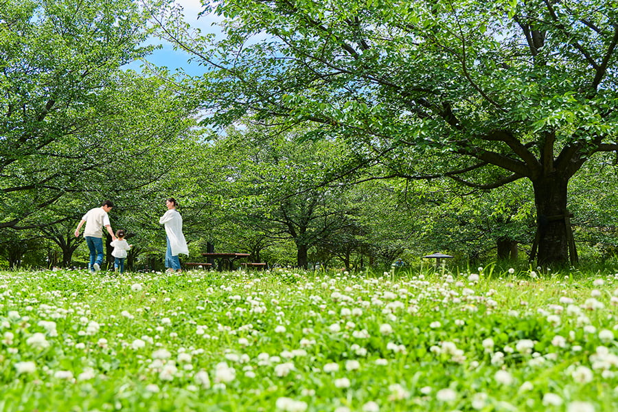 舎人公園