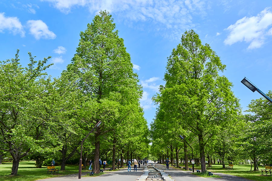 舎人公園
