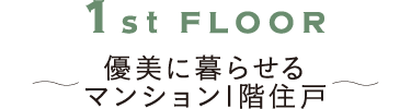 1st FLOOR