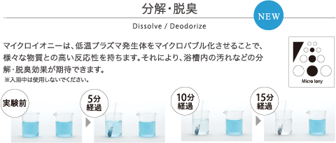 マイクロイオニー