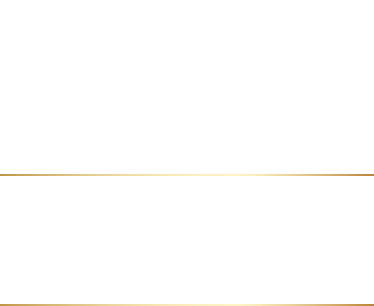 建物全体を俯瞰できる模型展示