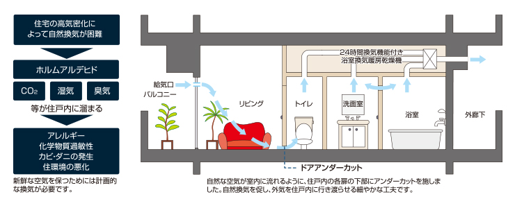 image illust