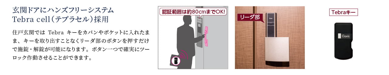 Tebra cell(テブラセル)採用