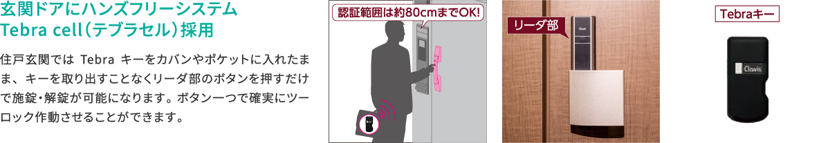 Tebra cell（テブラセル）採用