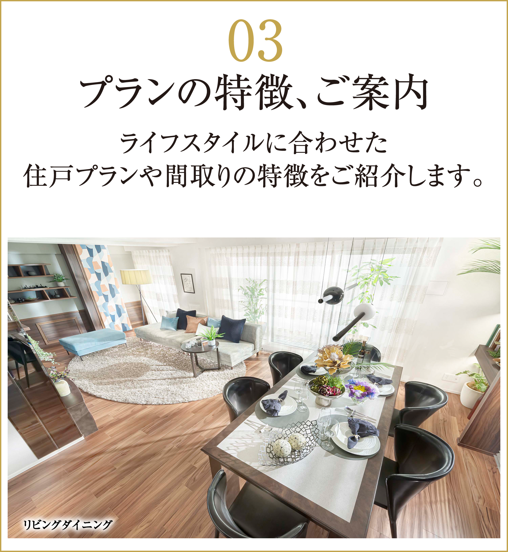 プランの特徴、ご案内