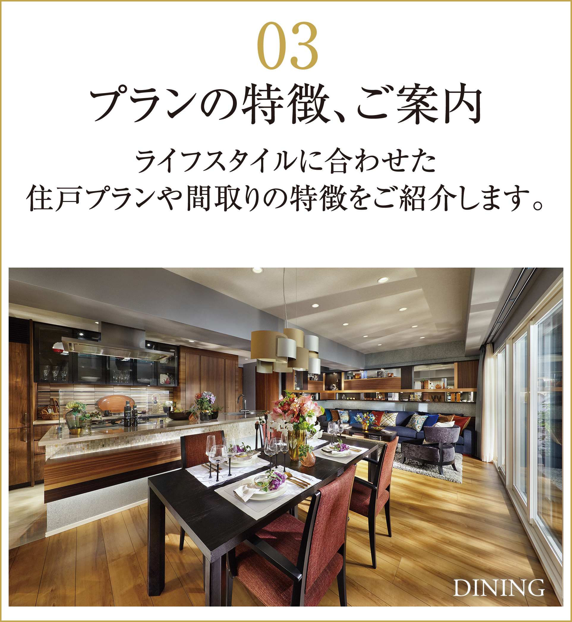 プランの特徴、ご案内